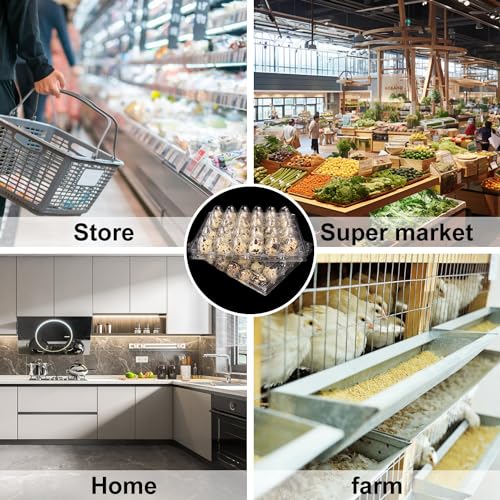 100 Pack Quail Egg Cartons, Clear Plastic Quail Egg Trays, Holds up to 30 Quail Eggs Securely - Your Ultimate Small Eggs Carton Holders for Bulk Storage and Display by KUKLIPJIM - size: 100 Pack Quail Egg Cartons 30 Grids