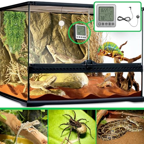 Digital Dual Channel Thermometer Hygrometer, Detachable Temp-Only Probe, 24H & All-Time Min Max Memory Fridge Reptile Tank Wine Cellar Greenhouse Garage Bedroom zz20 White 1 Pack - color: White, size: h1