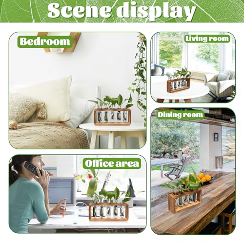 Glass Plant Propagation Station with 5 Test Tubes Colorful Planter Vase | Birthday Gifts for Women in Wooden Stand - color: Gray