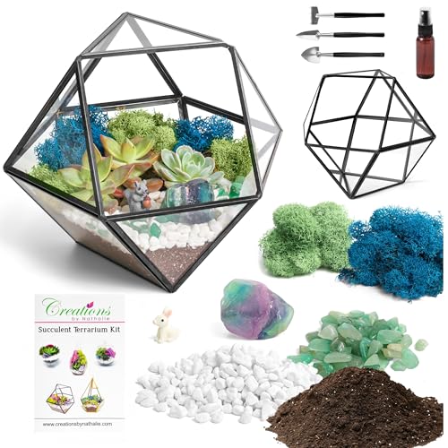 Creations by Nathalie DIY 7" Chalice Glass Terrarium Kit with Moss & Tools | DIY geometric glass terrarium kit with moss, tools, and supplies for creating an indoor terrarium display with your plants. - color: 7” Geometric Dodecahedron