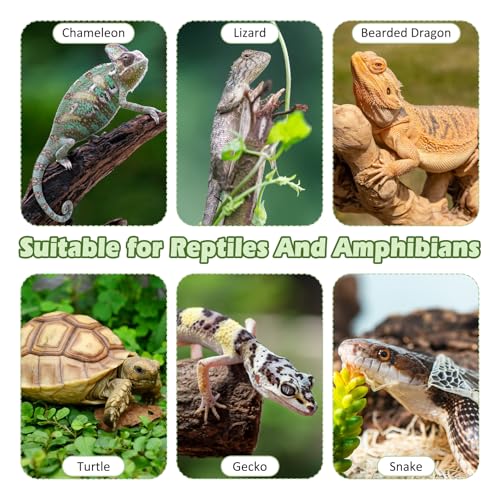 kathson Bearded Dragon Tank Accessories Kit, Reptile Hide Wooden Bridge Terrarium Liner Hammock Jungle Climber Vines Leaves Tweezer and Plant Reptile Habitat Decor for Chameleon Lizards Gecko Snakes
