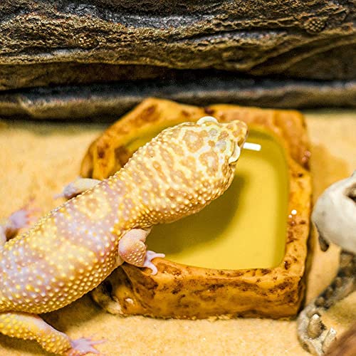 Reptile Water Dish,Resin Reptile Rock Food Feeder Bowl, Water and Food Bowl,Terrarium Decor for Leopard Gecko, Lizard,Spider,Turtle,Scorpion, Chameleon,Hermit Crabs (S, Yellow) - color: Yellow, size: S