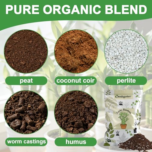 Pure Natural Potting Soil for Lucky Bamboo Plants 2qt- Superior Drainage & Breathability, Ideal Indoor Plant Soil - color: LuckyBambooSoil, size: 2QT