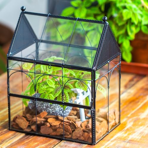 NCYP Glass Jumping Spiders Enclosure with Vent Holes - 7.5" x 4.9" x 9" Vented Glass Terrarium for Small Spider, Mantis, Small Beetle, House Shape, Tabletop Decor, Black (Terrarium Only)