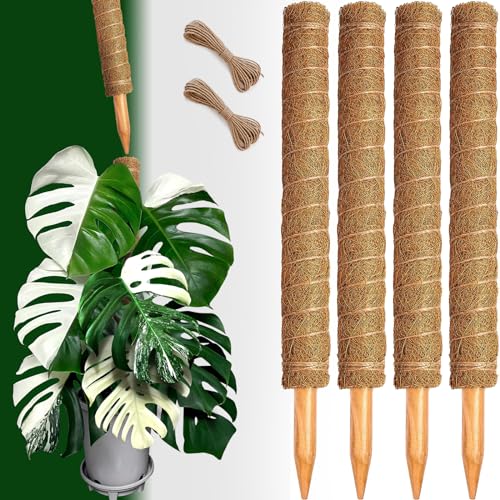 4 Pack 22 Inch Moss Poles, Stackable Moss Pole for Plants Monstera, 70 Inch Tall Moss Poles for Climbing Plants Indoor, Coir Totem Plant Support Stakes Stand for Potted Plants, Pothos - size: 4 pack 22in