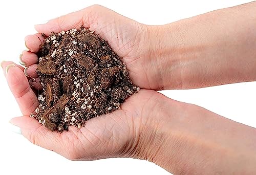 Premium Brown Mulch - Transform Your Landscape with Natural Elegance - 1 Quart - size: 1 Quart Bag, style: Brown Mulch