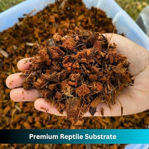 Premium Coconut Chip Substrate for Reptiles – 10 LB Block in Carton Box, Expands to 72 Quarts – Natural & Dust-Free Coco Husk Bedding for Ball Python, Bearded Dragon, Tortoise & Gecko