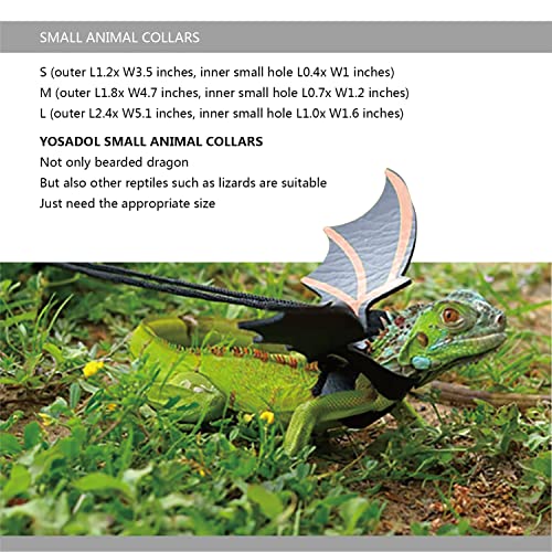 Bearded Dragon Leash and Harness Set, Beardie Carrier, Lizard Adjustable Harness with Leather Wings and Sling Bag, Reptile Small Pet Backpack Batwing Accessories (Grey) - color: Grey