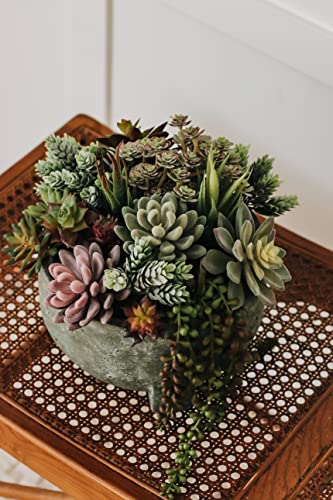 Artificial Succulent Plants Fake Assorted - 16 Pack - Unpotted Face Succulent Plants - Realistic Textured Succulents Picks - Fake Plants for Decoration - Faux Aloe Cactus Plant Bulk - color: 16 Pcs Assorted Succulents