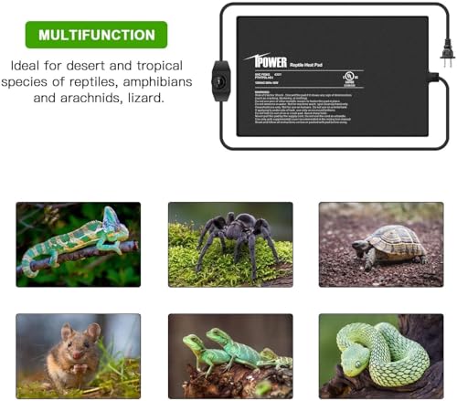 iPower 8 by 12 Inch Reptile Heating Pad with Temperature Adjustable Controller Knob, Under Tank Warmer Terrarium Heat Mat for Reptiles and Amphibians - size: 8 X 12 Inch, style: Heat Pad with Adjust Knob
