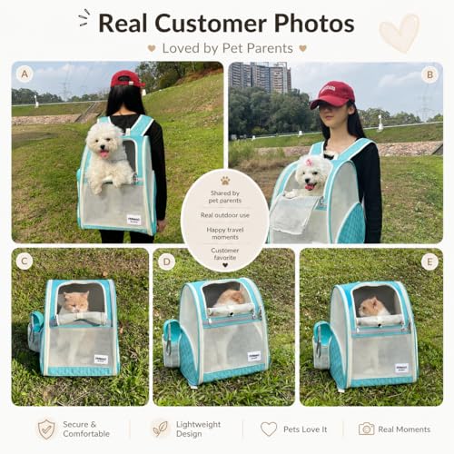 Cat Backpack Carrier for Small Dogs and Medium cat Puppy Kitten Bunny Pet Carrier Backpack Collapsible with Fully Ventilated Mesh with Safety Leash (LightGreen, 12.9" L x 10.62" W x 15.5" H - M) - color: LightGreen, size: Medium