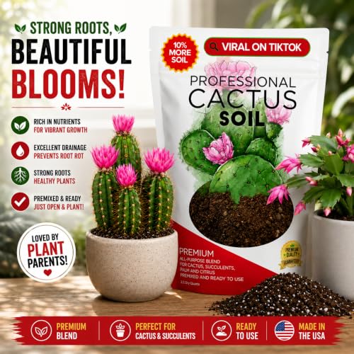 Leaves & Soul Cactus Soil Potting Mix 2.2 Qt for Cactus & Succulent Plants | Ideal Soil for Cactus, Suitable as Succulent Soil for Healthy Growth, Potting Soil with Fast Drainage and Moisture Retention - color: Cactus Soil, size: 2.2 Quarts
