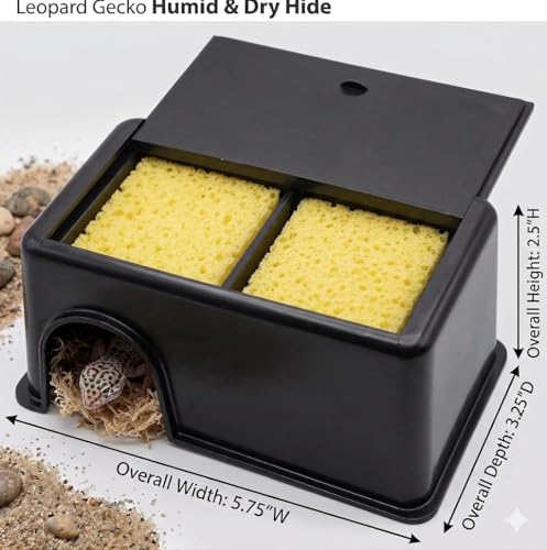 Small Humid Hide for Bearded Dragon, Corn Snake, Ball Python, Crested Gecko, Lizard, Leopard Gecko, Turtle, Tortoise, Frog - 5.75"x3.25"x2.5" with Sponges