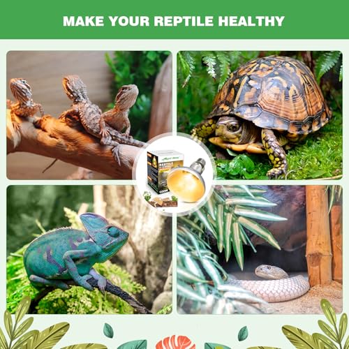 160W Reptile Heat Lamp Bulbs, Full Spectrum UVA/UVB Reptile Light Bulb and Basking Spot Light, UVB Light for Reptiles and Bearded Dragon, Turtle, Lizard, Snake, Amphibians - style: 160W UVB Bulb