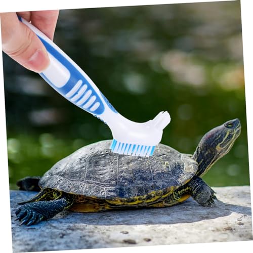 Happyyami 3Pcs Turtle Shell Cleaning Brushes with Abs Handles Non-Slip Grip Portable Mud Remover for Aquatic Tortoises and Turtles Efficient Dual-Sided Design for Thorough Shell Cleaning - color: Sky-blue
