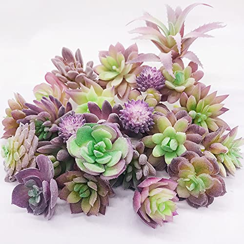 Woohome 25 PCS Artificial Succulent Plants, Purple Fake Succulent Unpotted Faux Succulent Assortment in Flocked in Different Type for Birthday Home Decor Indoor Wall Garden DIY - color: Purple-b