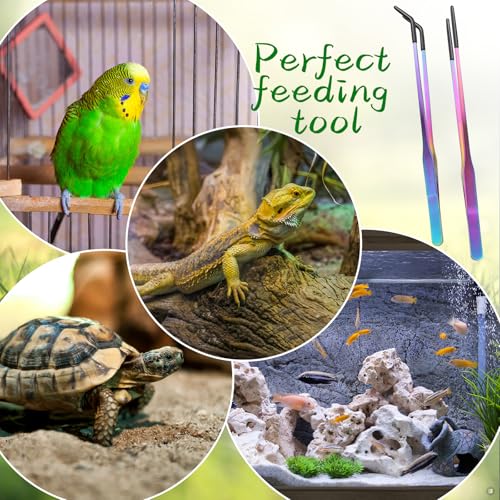 2PCS Stainless Steel Reptile Feeding Tongs with Rubber Tip, 10.6" Straight & Curved Long Tweezers, Perfect for Aquariums & Crafts - Ideal Bearded Dragon & Snake Tank Accessories, Terrarium Supplies