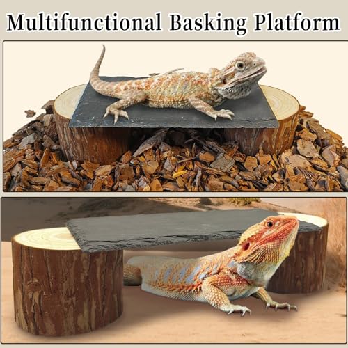 Bearded Dragon Basking Platform,Reptile Slate Rocks with Wooden Pile,Leopard Gecko Hides and Caves Climbing Tank Accessories for Lizards Snakes Tortoise Ball Python(Small High