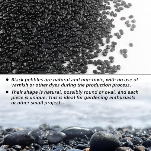 CJGQ 45lb 1/4" Small Pebbles Black for Plants,Potting,Succulents Aquarium Fish Tank Vases Decorative Garden Polished Gravel Rocks Stones - color: Black, size: 45lb