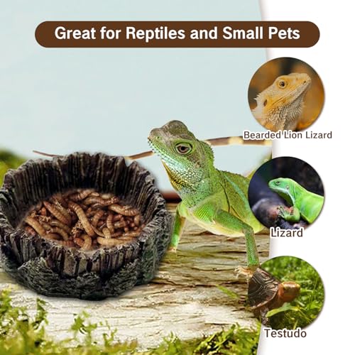 1 Pack Small Reptile Food Dish Resin Rock Worm Water Bowl for Bearded Dragon Leopard Gecko Lizard Hermit Crab Snail Frog Toad Anti Turnover Feeding Accessories Set