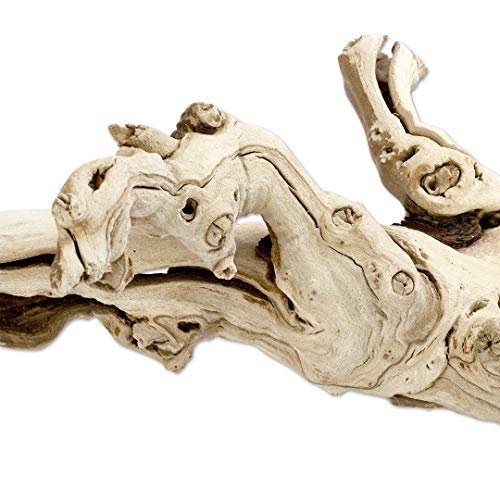 Koyal Wholesale 18" Natural Grapevine, Sandblasted Reptile Wood Branches, Terrarium Grapewood, Reptile Branch, Grapewood Branch, Grapevine Wood for Wedding Centerpieces, Branch Decor