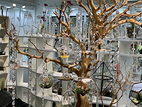 WGV Hanging Terrarium Globe, Width 2.5", Height 3", DIY Air Succulent Planter, Clear Glass Vase Orb with Flat Bottom, Candle Holder for Windowsill Outdoor Garden Decor, 24 Pieces Bulk - size: 2.5" Flat Bottom