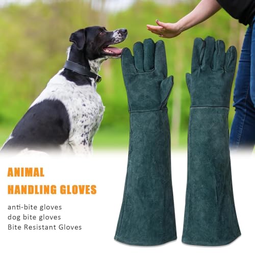 suade Gauntlet Protectors - Animal Handling Gloves, High Temperature Oven Grill Stove Shield, Cut Resistant Accessory Case - color: B