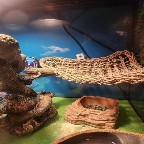 Tank Accessories for Bearded Dragon Include Resin Classical Castle Reptile Hammocks Climb Habitat Hanging Jungle Vines Flexible Leaves Climbing Decor for Chameleon Lizard Gecko Spider(6 PCS)