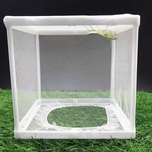 Mantis Egg Incubator for Small Animals | Egg Incubation, Small Animal Use, Compact Design, Reptile Hatchery, Mantis Habitat