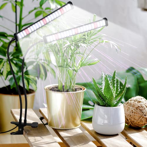 Grow Light 100W 6000K, Super Bright White Desktop Clip Plant Lamp | Desk Lamp for Pot Seedlings Succulents Seeds Indoor Plants Growing,Bendable Gooseneck & Timer 4 8 12 H - size: 100Watts