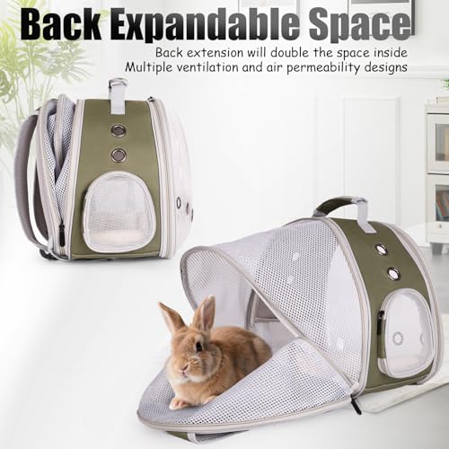 Back Expandable Backpack for Small Animals, Portable Travel Bag Breathable Pet Carrier Cages for Bunny, Guinea Pig, Bearded Dragon, Lizard, Rabbit, Squirrel, Tortoise, Kitten, Sugar Glider - color: Army Green