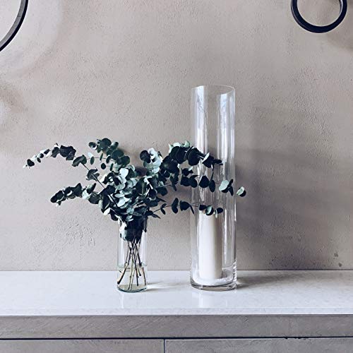 WGV Cylinder Vase, Width 6", Height 16", Clear Glass Container Terrarium Candle Holder for Wedding Centerpiece, Party Event, Home Office Decor, 1 Piece - size: 6"x16"H