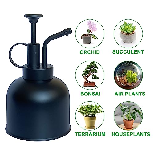 Stainless Steel Plant Sprayer, Small Watering Can, Modern Gardening Tool for Indoor Potted Plants - color: 10oz/matte black