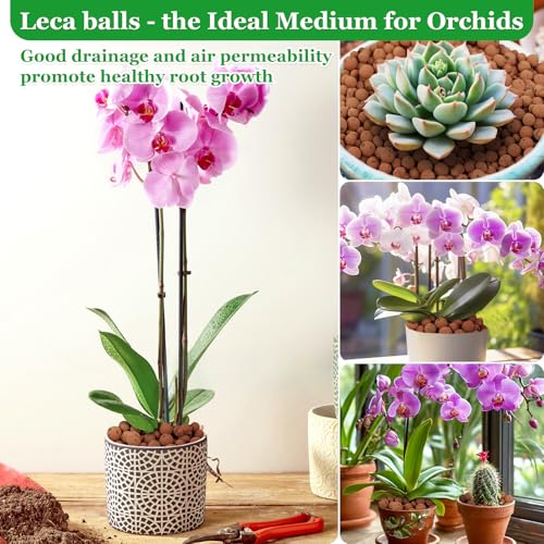 2LB Organic Leca Clay Pebbles for Plants, 4-16mm Natural Leca Balls | Reusable, Drainage, Aeration, Moisture Retention, Hydroponic, Lightweight for Orchids, Succulents, Terrarium, Indoor Plants - size: 2LB