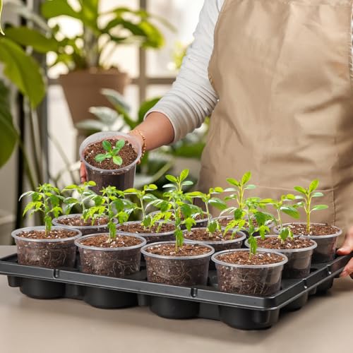 RooTrimmer 12 Cell Nursery Pot Trays 5 Pack with 4 Inch Clear Plant Pots 60 Pack, Thick Sturdy Seeds Starting Germination Shuttle Carrying Trays, Black Small Planter Nursery Propagation 5 Sets - color: Black + Clear, size: 4 Inch 60 Pack Pots With 5 Pack