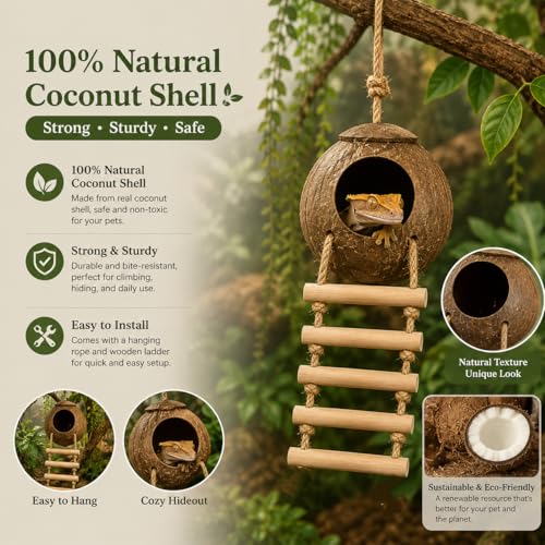 Crested Gecko Tank Accessories, Reptile Bridge and Plants with Coconut Shell Ladder Hideout, Natural Terrarium Decor for Lizard, Chameleon, Leopard Gecko, Snake, Hermit Crab and Tortoise (Group B) - color: Group B