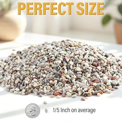 18lb Succulent and Cactus Gravel Pebbles, 1/5 Inch Mixed Color Natural Rocks for Fish Tank, Indoor Plants, Aquarium, Vases, Landscaping - color: AK Stones, size: 18lb