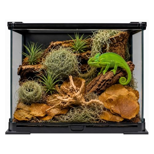 Bioactive Terrarium Kit with 4 Live Air Plants - Complete Reptile Habitat Decor for Geckos, Hermit Crabs & Frogs - Includes Spider Wood & Dried Grape Leaves