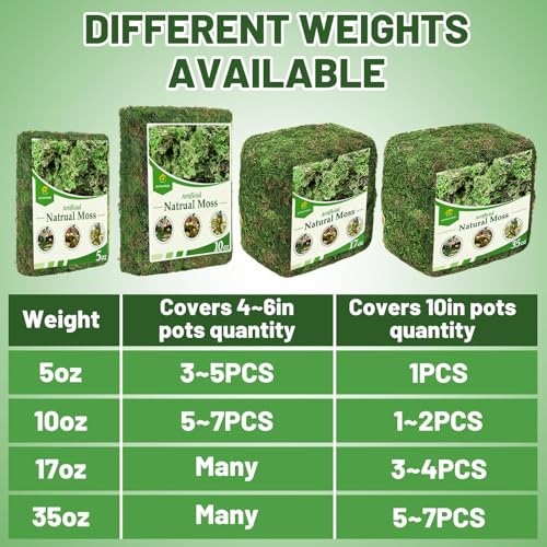 17oz Large Pack Natural Green Moss for Plants Indoor - Dried Forest Real Moss for Crafts, Artificial Fairy Gardens, Mosswall, Glass Terrariums, Floral Design, Home Decor - style: 17oz