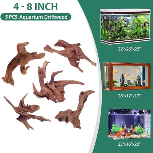 WDEFUN Natural Driftwood for Aquarium Decor, 5-Piece 5''-8'' Large Driftwood for Decorations on Fish Tank, Reptiles Bearded Dragon Accessories or Air Plants - size: Mopani driftwood (5-8 inch pack of 5)