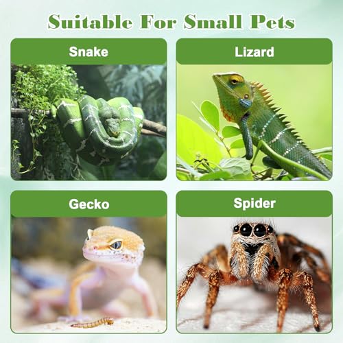 4 PCS Crested Gecko Hide, Reptile Leaf Platform with Suction Cups, Turtle Tank Decorations Tree Frog Terrarium Accessories Aquarium Landscaping Decoration Turtle Tank Decor