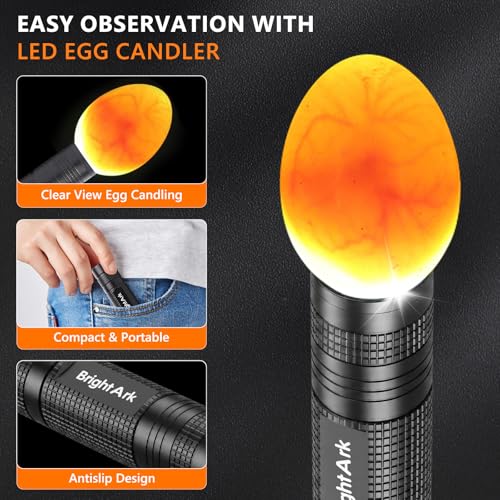 Egg Candler for Chicken Eggs, Rechargeable Bright Cool Light Egg Candler Tester for Chicken Duck Eggs, Handheld Egg Light for Incubators, Farm & Home Use