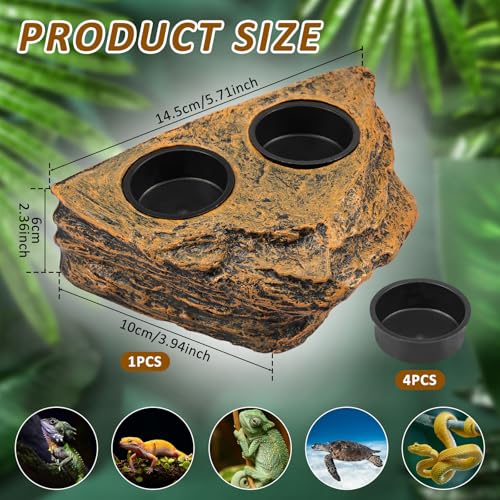 Reptile Magnetic Feeder Ledge, Plastic Reptile Food Water Dish with Bowl Feeding Cups, Double Bowl Gecko Feeder Ledge, Easy Install Reptile Feeding Bowl Lizard Feeding Ledge for Lizard Crested Gecko