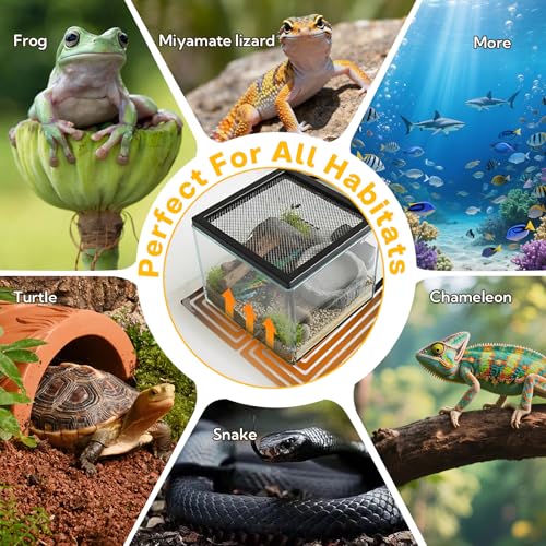 Reptile Heating Pad 6x5.5 Inch Under Tank Heater, 5W Low Energy Graphene Heating Mat for Terrarium, Safe & Even Warming for Snake Lizard Gecko Turtle Frog Hermit Crab Plastic/Glass Cages - size: upgrade 5W ( 6 x 5.5 Inch)