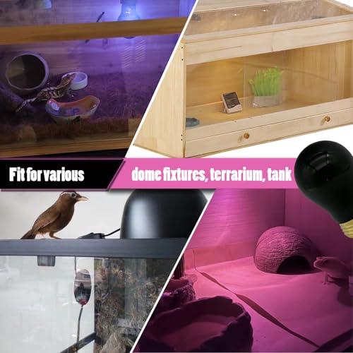 Reptile Heat Lamp 75W, Night Heat Bulb Simulate Nature Moonlight Purple Bulbs, Amphibians Basking Spot Light Bulb for Bearded Dragon, Gecko, Snake, Lizard and Turtle, E26 Base, 2 Pack