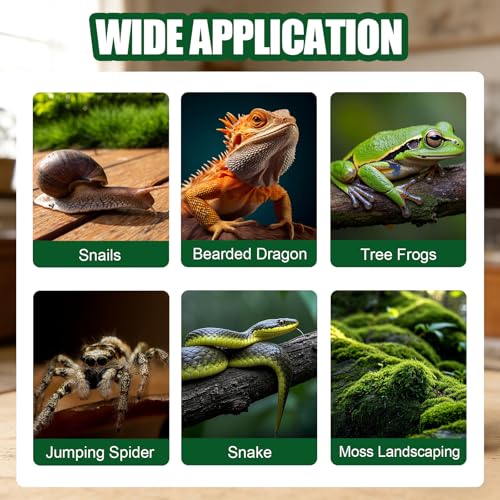 Acrylic Jumping Spider Enclosure, Reptile Terrarium Enclosure with Front Opening Door, 5.91×5.91×11.88 Inch Reptiles Habitat Tank Breeding Box for Tarantula Insect Snake Lizard - color: 5.91×5.91×11.8