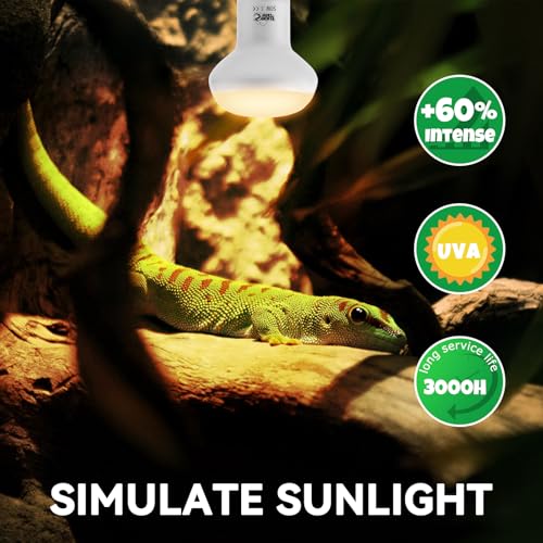LUCKY HERP Intense Heat Lamp Bulbs for Reptiles 50W 2 Pack, UVA Daylight Reptile Heat Lamp, Reptile Basking Heat Light Bulb for Amphibian, Tortoise, Bearded Dragon, Lizard, Turtle, Snake Heating Use - color: Natural Basking Light Bulb, size: 50 Watts