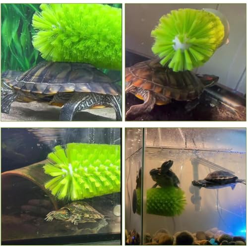 Turtle Brush with Suction Cup for Tank Scratches Back Brush Shell Cleaning Brush Scrub Red Eared Slider Turtle Exfoliate Brush for Remove Turtle Shell Scutes (Grey) - color: Gray