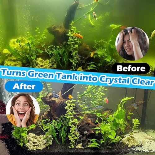 TARARIUM U-V Aquarium Filter for 75-200Gal Fish Tank Pond Pool, Dual Outlet | 2 Media Options Available + U-V, Green Killing, Internal Filter, Aeration, Deodorization, Saltwater Freshwater Clear, 423GPH - size: P10F-New (75-300 Gal)