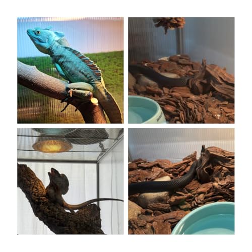 120 Gallon Bearded Dragon Tank, 48x24x24 Reptile Enclosure | 4x2x2 Reptile Terrarium, Aluminum Frame, 304 Stainless Steel Mesh Top,Tempered Glass Sliding Doors, Stackable Design
